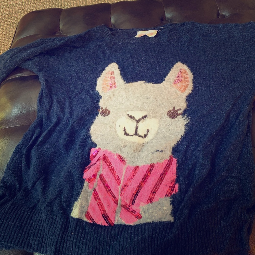 Navy blue justice sweater !!!